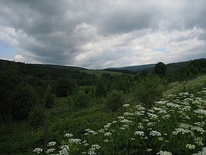 orlickehory img_1137.jpg